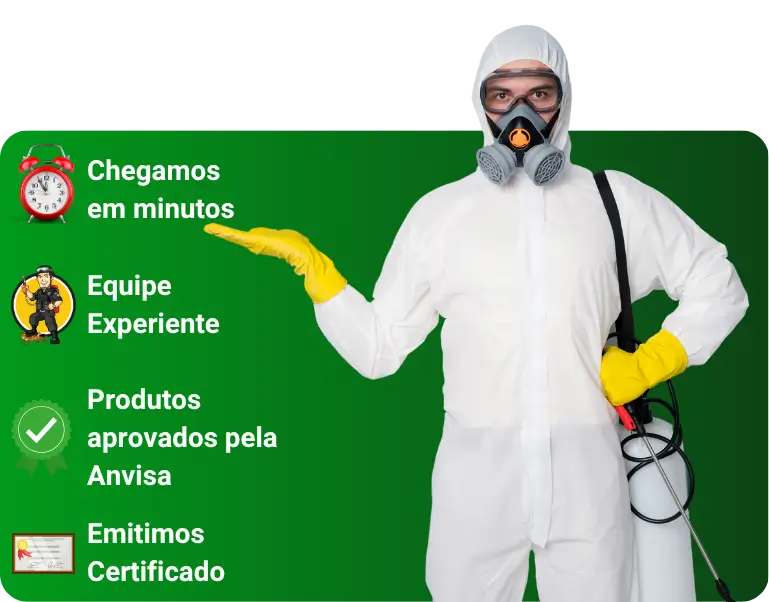 Dedetização Chegamos em minutos